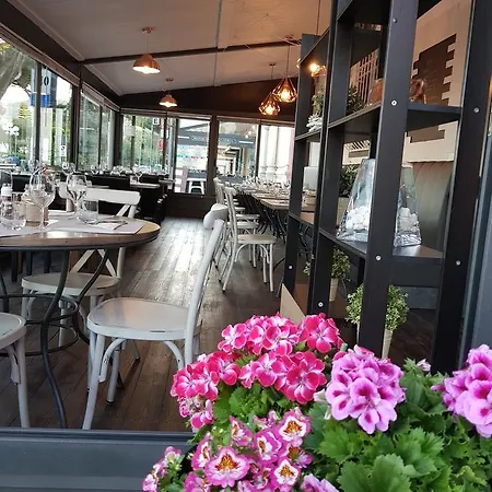 Vela Bianca H & R 酒店 迪亚诺马里纳